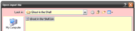 Selecting the only BIN file